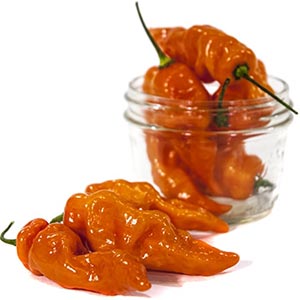 Habanada Snacking Pepper