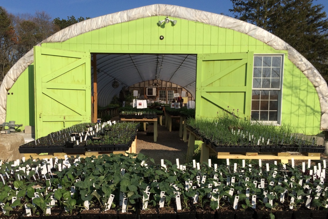 Opening Greenhouse Tour