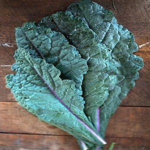 Dazzling Blue Kale