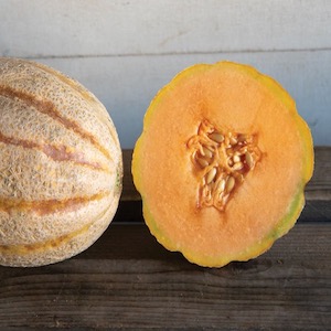 Hannahs Choice Melon