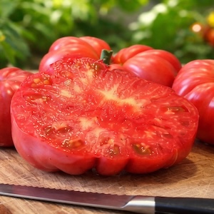  Pink Delicious Tomato